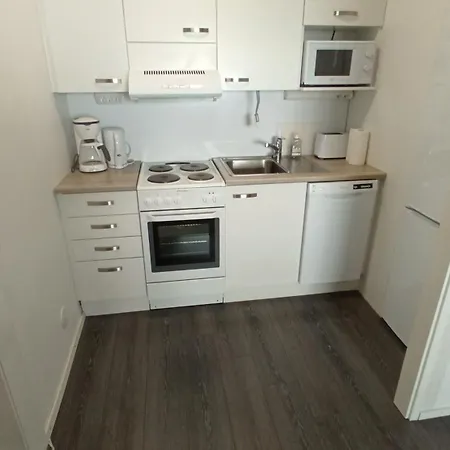 Modern Flat- Arrive Late, Leave Late Apartment Pori